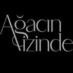 Ağacın İzinde