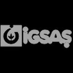 İGSAŞ