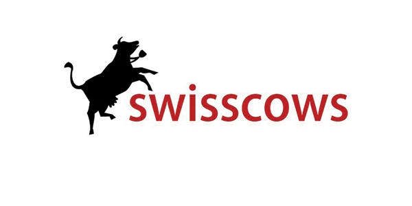 Swisscows arama motoru