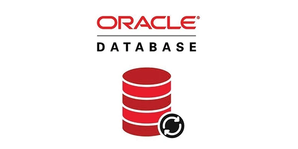 Oracle database arama motoru